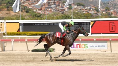 Speed Shot listo para volver a la racha ganadora