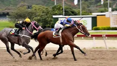 Grupo de WhatsApp plagia y difunde contenido hípico del Bloque de ARMAS Grupo de WhatsApp plagia y difunde contenido hípico del Bloque de ARMAS