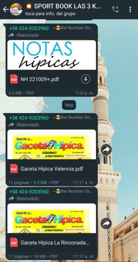 Grupo de WhatsApp plagia y difunde contenido hípico del Bloque de ARMAS