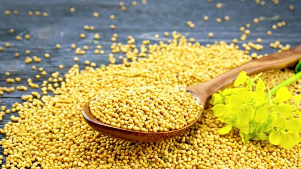 Semillas de mostaza: un analgésico y antiinflamatorio natural Semillas de mostaza: un analgésico y antiinflamatorio natural