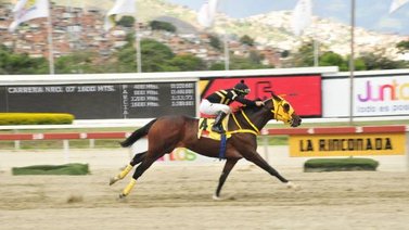 The Matador buscará su segunda victoria este próximo domingo