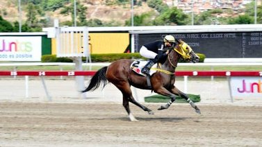 El Sensacional Capriles en los lomos de Money On Time