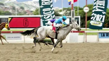 La Chacha se hará nombrar en los metros finales La Chacha se hará nombrar en los metros finales