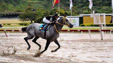 Barry White los galopó en el Clásico Internacional Jockey club de Venezuela