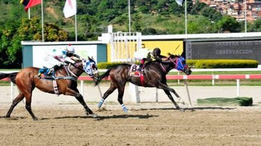 Stronger abrirá la tarde dominical con su cuarta victoria en el óvalo de Coche