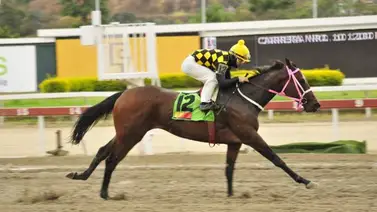 El Bombazo está listo para llevarse el Victoreado del presente año El Bombazo está listo para llevarse el Victoreado del presente año