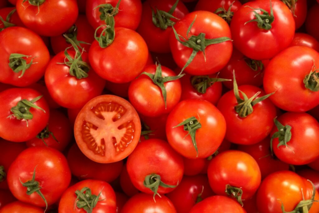 Salsa de tomate casera para acompañar la pasta Salsa de tomate casera para acompañar la pasta