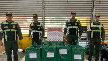 Incautan más de 107 kilos de cocaína: Los pretendían enviar a Países Bajos en una encomienda Incautan más de 107 kilos de cocaína: Los pretendían enviar a Países Bajos en una encomienda