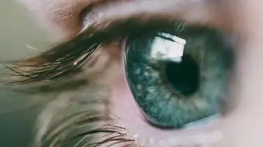 Tratamiento genético recupera la vista de dos niños en Italia Tratamiento genético recupera la vista de dos niños en Italia