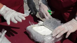 Decomisan 272 paquetes con cocaína en Dominicana: La droga iba rumbo a Canadá
