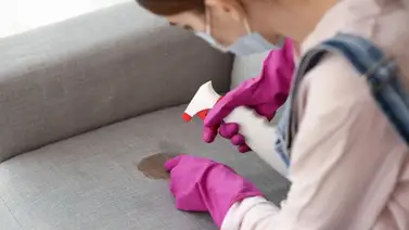 Muebles sin manchas sí es posible Muebles sin manchas sí es posible