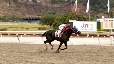 De Rous abrirá ganando la jornada dominical con el "Barbaro" Robert Capriles