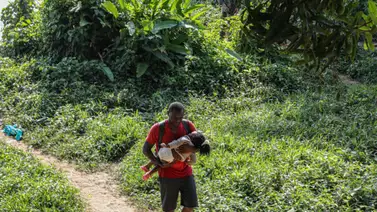 Darién: El inicio de una ruta mortal por toda Centroamérica Darién: El inicio de una ruta mortal por toda Centroamérica