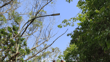 Alcaldía del Hatillo realiza recuperación integral del alumbrado público