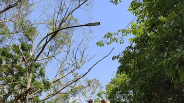 Alcaldía del Hatillo realiza recuperación integral del alumbrado público