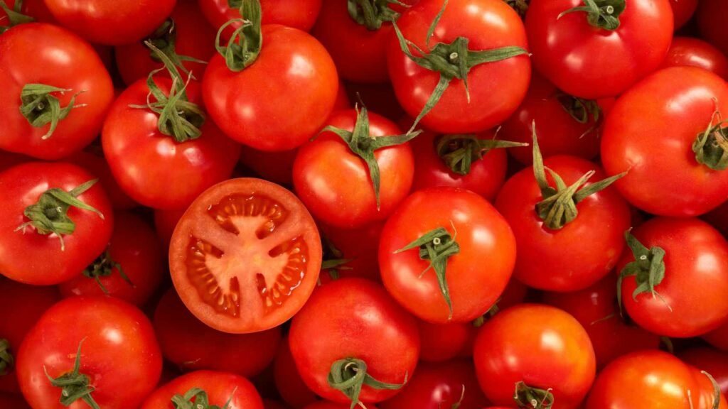 Brusqueta de tomate