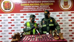 FANB intercepta cargamento de droga oculto en 42 pares de zapatos con destino a Italia