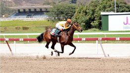 Sylvanella vuelve a su lote con sed de victoria