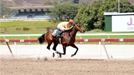 Sylvanella vuelve a su lote con sed de victoria