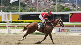 La Nena tendrá en los lomos al campeón Robert Capriles para estar en el tome del marcador