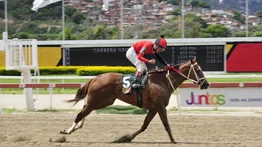 La Nena tendrá en los lomos al campeón Robert Capriles para estar en el tome del marcador