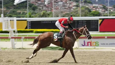 La Nena tendrá en los lomos al campeón Robert Capriles para estar en el tome del marcador La Nena tendrá en los lomos al campeón Robert Capriles para estar en el tome del marcador