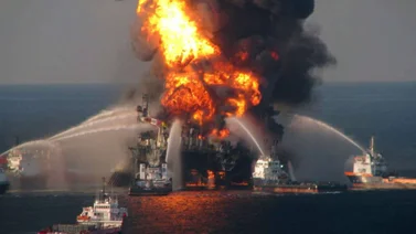Se incendia en Colombia barco venezolano retenido por pesca ilegal de delfines