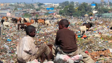 ONU: 730 niños mueren de hambre en Somalia este año