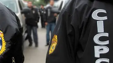 Cicpc detuvo a un hombre con 105 plantas de presunta marihuana en Portuguesa Cicpc detuvo a un hombre con 105 plantas de presunta marihuana en Portuguesa