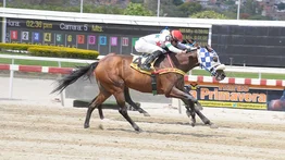 Fast Cat viene por el desquite en la segunda válida del 5Y6