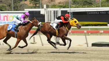 Scrittore vuelve a la arena del óvalo de Coche Scrittore vuelve a la arena del óvalo de Coche