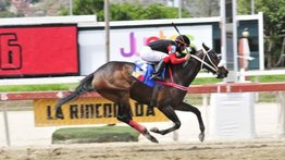 Rubacuori lista para reaparecer en las manos de Abraham Campos