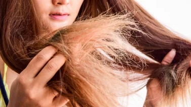 Por qué ocurre la tricoptilosis u horquetillas