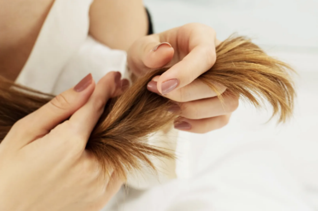 Por qué ocurre la tricoptilosis u horquetillas Por qué ocurre la tricoptilosis u horquetillas