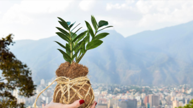 SweetPlant presenta su estilo de "arquitectura verde"