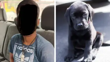 Hombre asesina a un perro para comérselo con tortillas en México Hombre asesina a un perro para comérselo con tortillas en México