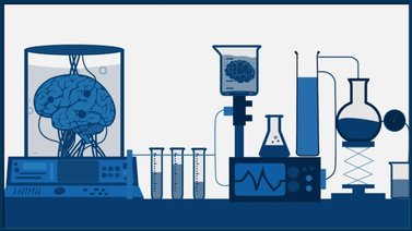 Termómetro Económico: La ciencia de la moral