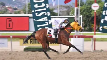 Ramiro Caldeira muy optimista con su presentada Strength Donatella en el Clásico de Sprinters Ramiro Caldeira muy optimista con su presentada Strength Donatella en el Clásico de Sprinters