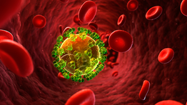 Descubren una nueva cepa del virus VIH en EEUU