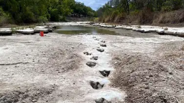 Huellas de dinosaurios se dejan ver tras fuerte sequía en EEUU Huellas de dinosaurios se dejan ver tras fuerte sequía en EEUU