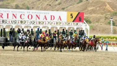 Cinco potrancas medirán fuerzas en el Clásico Julián Abdala Cinco potrancas medirán fuerzas en el Clásico Julián Abdala
