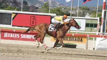 El potro Folklore hace su estreno en el Clásico Gradisco El potro Folklore hace su estreno en el Clásico Gradisco