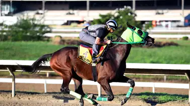 Sandovalera buscará reivindicarse en el Clásico Cruz del Ávila Sandovalera buscará reivindicarse en el Clásico Cruz del Ávila