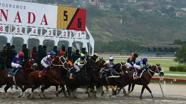Tarde clásica este próximo domingo en La Rinconada