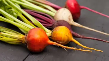 Conoce las variedades de remolachas que existen Conoce las variedades de remolachas que existen