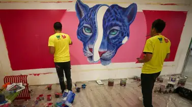 Tortuga, jaguar y cóndor "llegan" a Ecuador para luchar por la vida silvestre Tortuga, jaguar y cóndor "llegan" a Ecuador para luchar por la vida silvestre