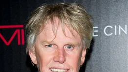 Acusan a Gary Busey por acoso sexual en una convención