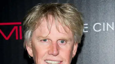 Acusan a Gary Busey por acoso sexual en una convención Acusan a Gary Busey por acoso sexual en una convención