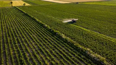 Irán niega acuerdo con Venezuela para la entrega de tierras en el país Irán niega acuerdo con Venezuela para la entrega de tierras en el país