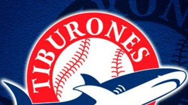 ¡No hay excusas! Tiburones de La Guaira inician venta de abonos para la zafra 2022-2023